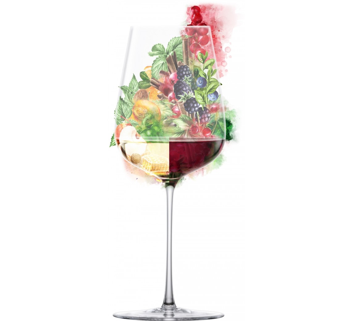 Eisch Essenca SensisPlus allround vinglas til “frugtige og aromatiske” vine (sæt m/ 2 stk.)