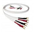 NordOst 2 Flat Speaker Cable