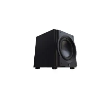 Perlisten R10s - Subwoofer