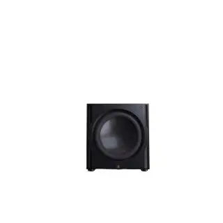 Perlisten R15s - Subwoofer